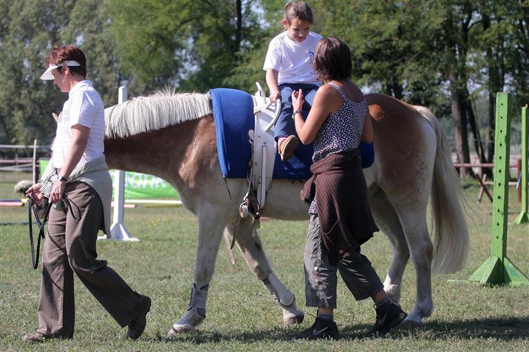 Lovasterápiás foglalkozás Fóton