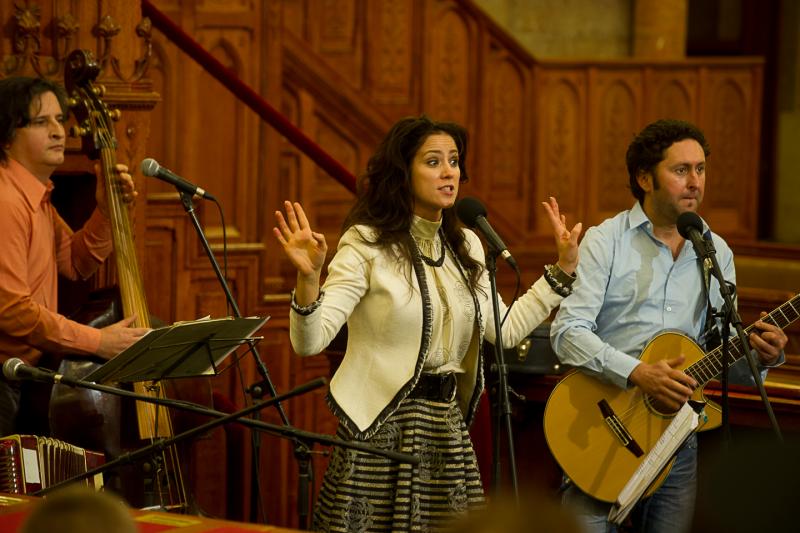 IN3_2308 Fáth Péter