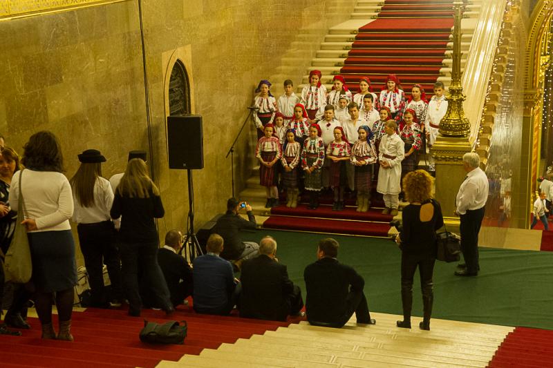 IN3_2860 Fáth Péter