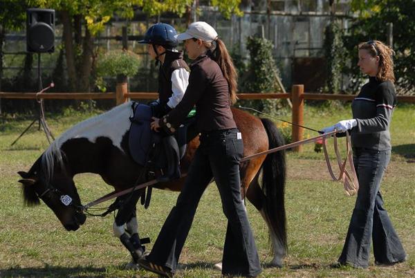 Lovasterápiás foglalkozás Fóton