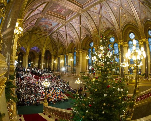 IN3_2184 Fáth Péter