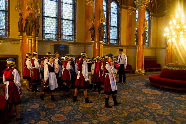 IN3_2328 Fáth Péter