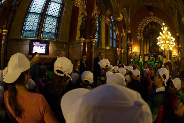 IN3_2642 Fáth Péter