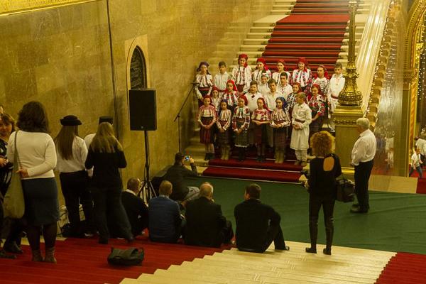 IN3_2860 Fáth Péter