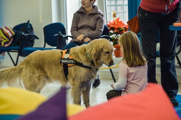 15. Fót - Lovasterápiás Központ